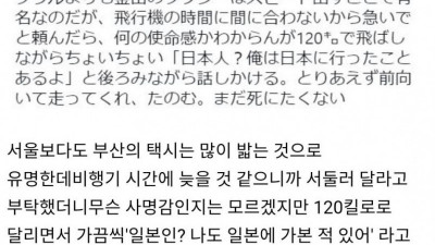 부산 택시를 타본 일본인의 소감