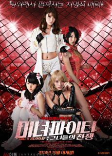미녀파이터: 그녀들의 전쟁 (2014) 영화 다시보기
